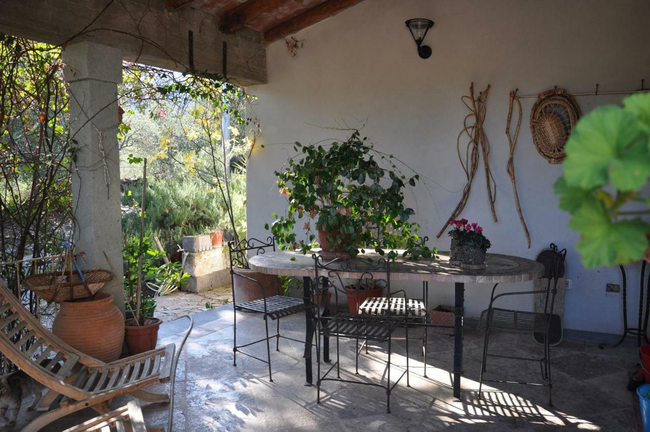 Casa D' Artista B&B Оцьери Экстерьер фото